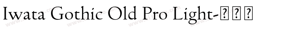 Iwata Gothic Old Pro Light字体转换